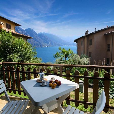 Discesa A Lago With Terrace And Garden On Lake Iseo 里瓦迪索尔托 外观 照片
